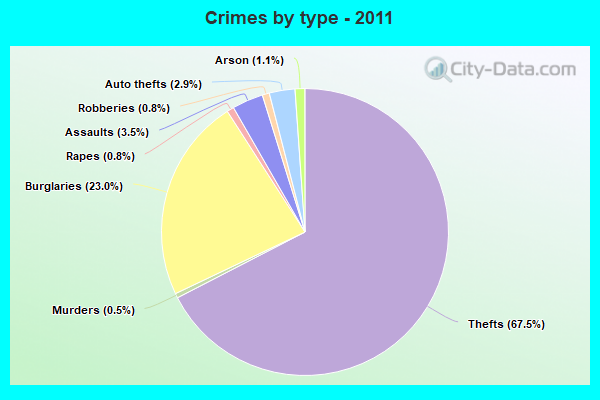 Crimes by type - 2011