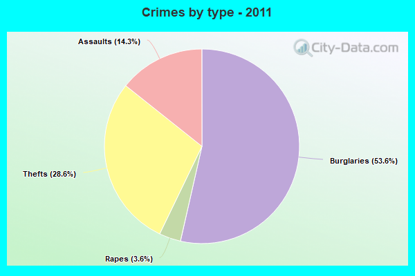 Crimes by type - 2011