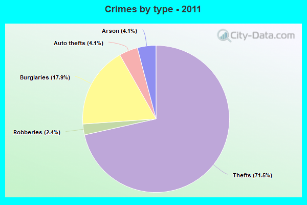 Crimes by type - 2011