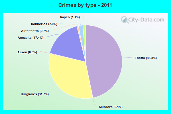 Crimes by type - 2011