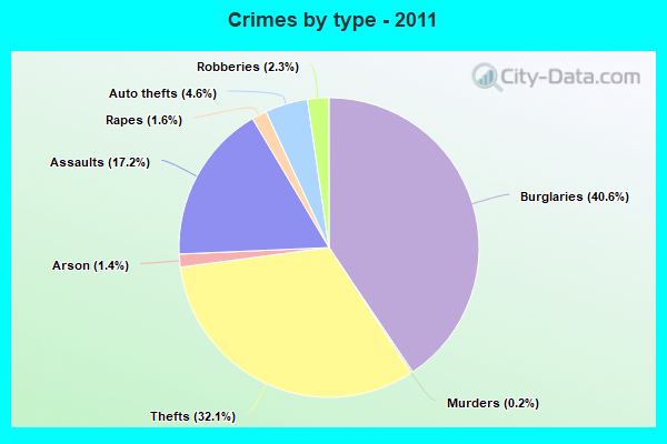 Crimes by type - 2011