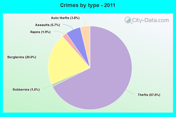 Crimes by type - 2011