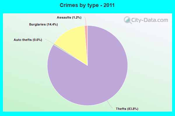 Crimes by type - 2011