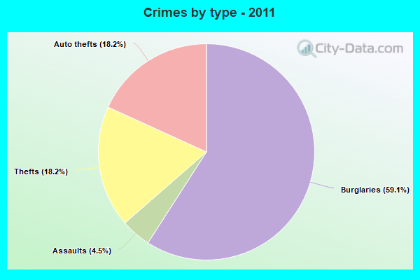 Crimes by type - 2011