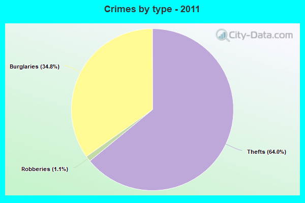 Crimes by type - 2011