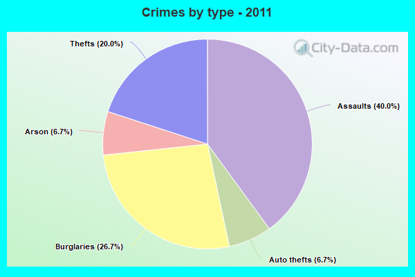 Crimes by type - 2011