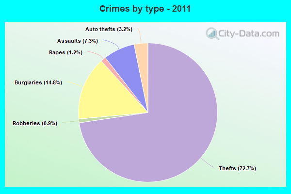 Crimes by type - 2011