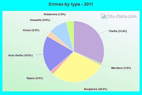 Crimes by type - 2011