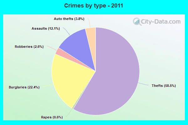 Crimes by type - 2011