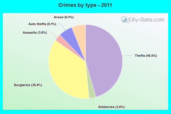 Crimes by type - 2011