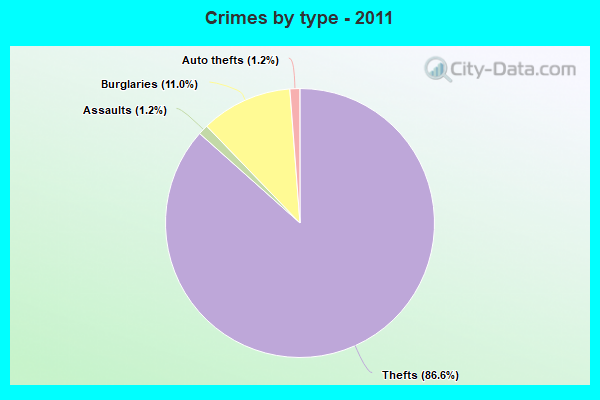 Crimes by type - 2011