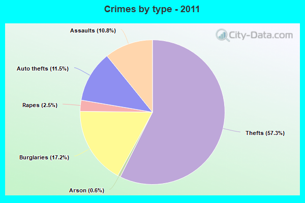 Crimes by type - 2011