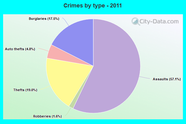 Crimes by type - 2011