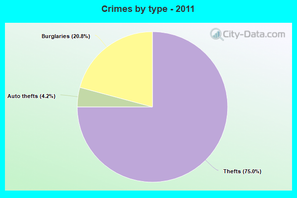 Crimes by type - 2011