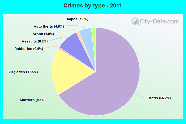 Crimes by type - 2011