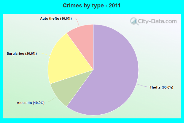 Crimes by type - 2011