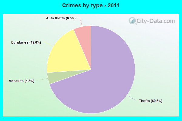 Crimes by type - 2011