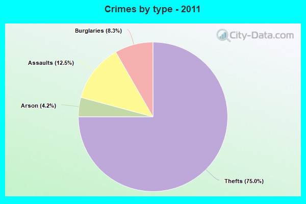 Crimes by type - 2011