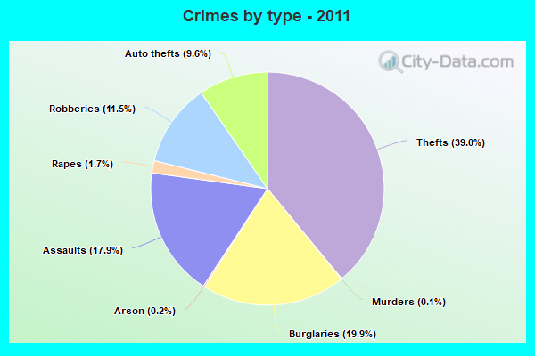 Crimes by type - 2011