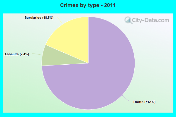 Crimes by type - 2011