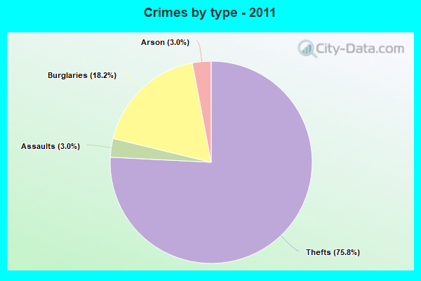 Crimes by type - 2011