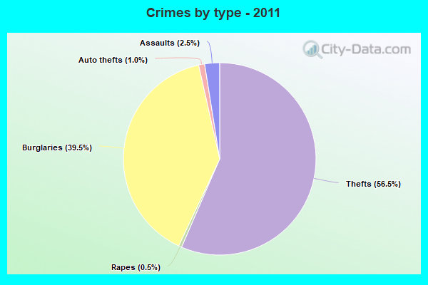 Crimes by type - 2011