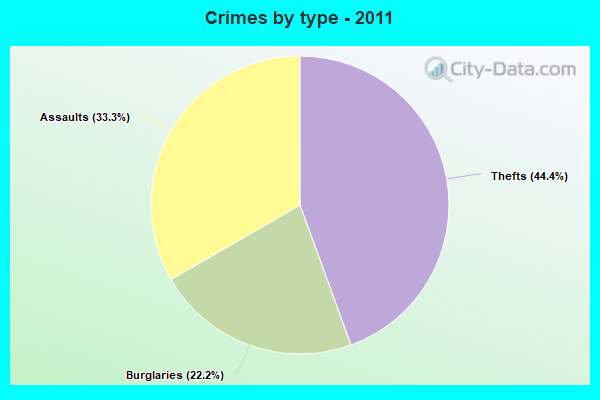 Crimes by type - 2011