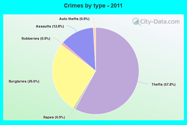 Crimes by type - 2011