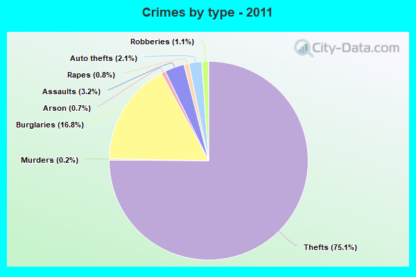 Crimes by type - 2011