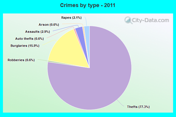 Crimes by type - 2011