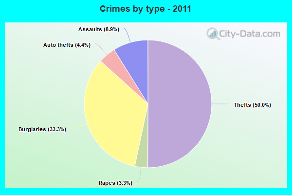 Crimes by type - 2011