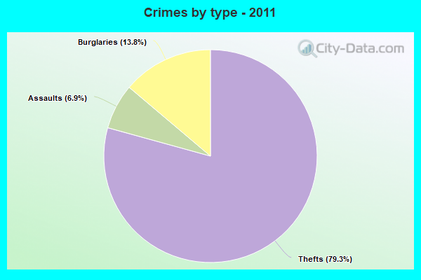 Crimes by type - 2011