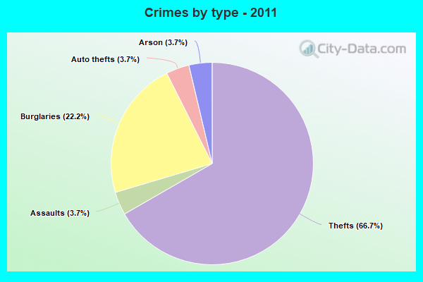 Crimes by type - 2011