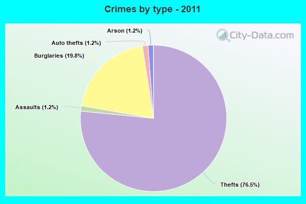 Crimes by type - 2011