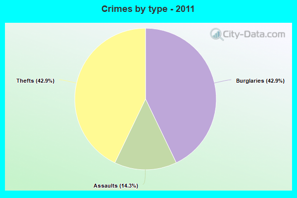 Crimes by type - 2011