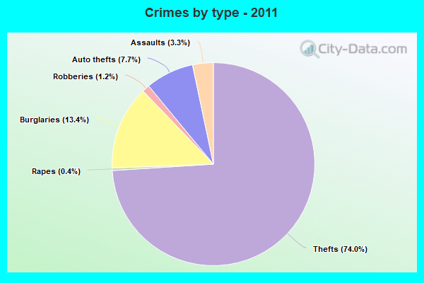 Crimes by type - 2011