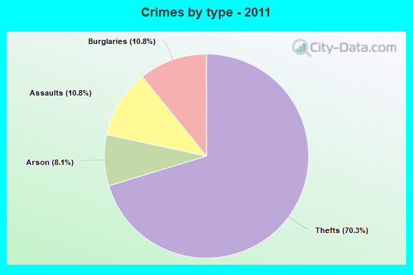 Crimes by type - 2011