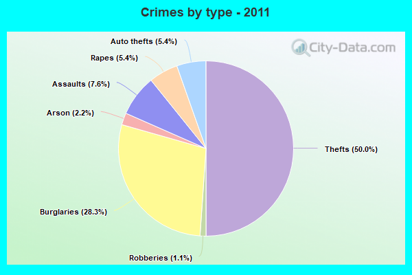 Crimes by type - 2011