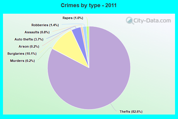 Crimes by type - 2011