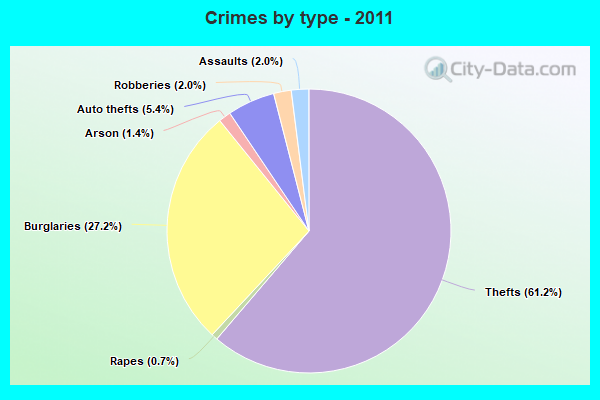 Crimes by type - 2011