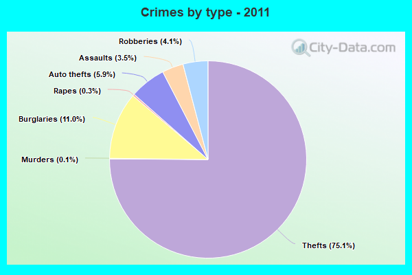 Crimes by type - 2011