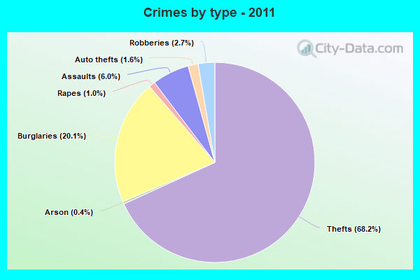 Crimes by type - 2011