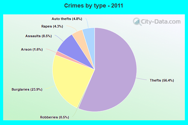 Crimes by type - 2011