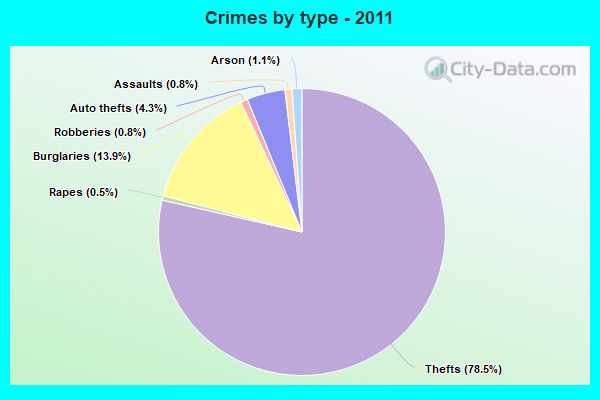 Crimes by type - 2011