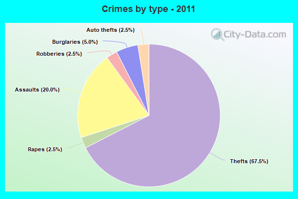 Crimes by type - 2011