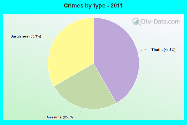 Crimes by type - 2011