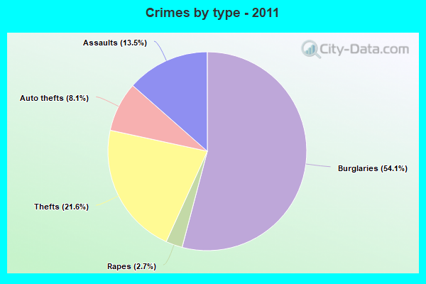 Crimes by type - 2011