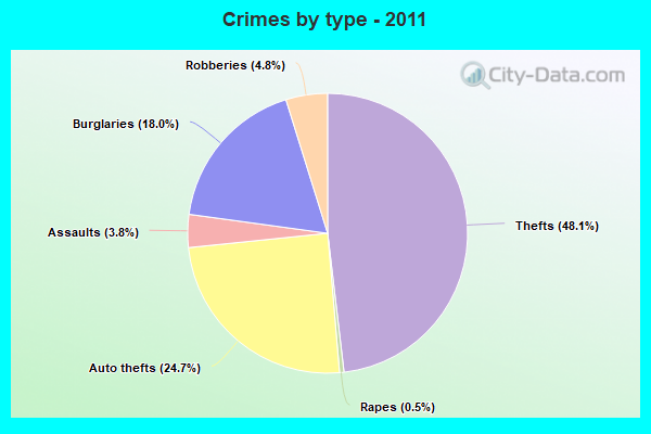 Crimes by type - 2011