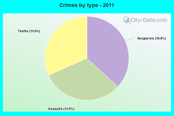 Crimes by type - 2011