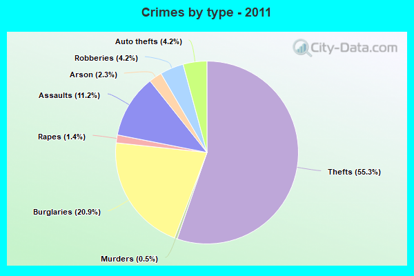 Crimes by type - 2011